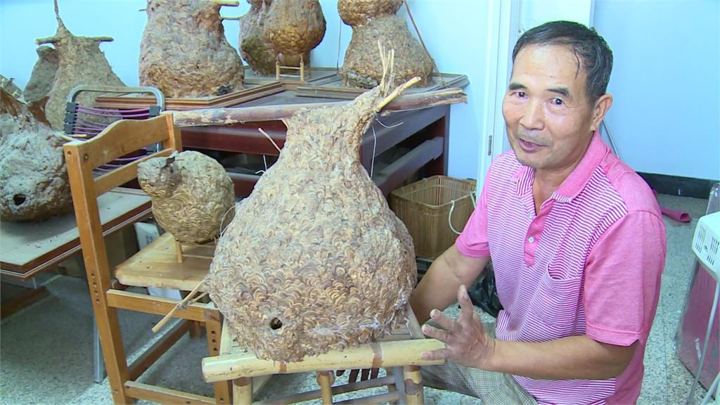 蜂農兼職藝術家！蔡明勳雕塑虎頭蜂窩成收藏品