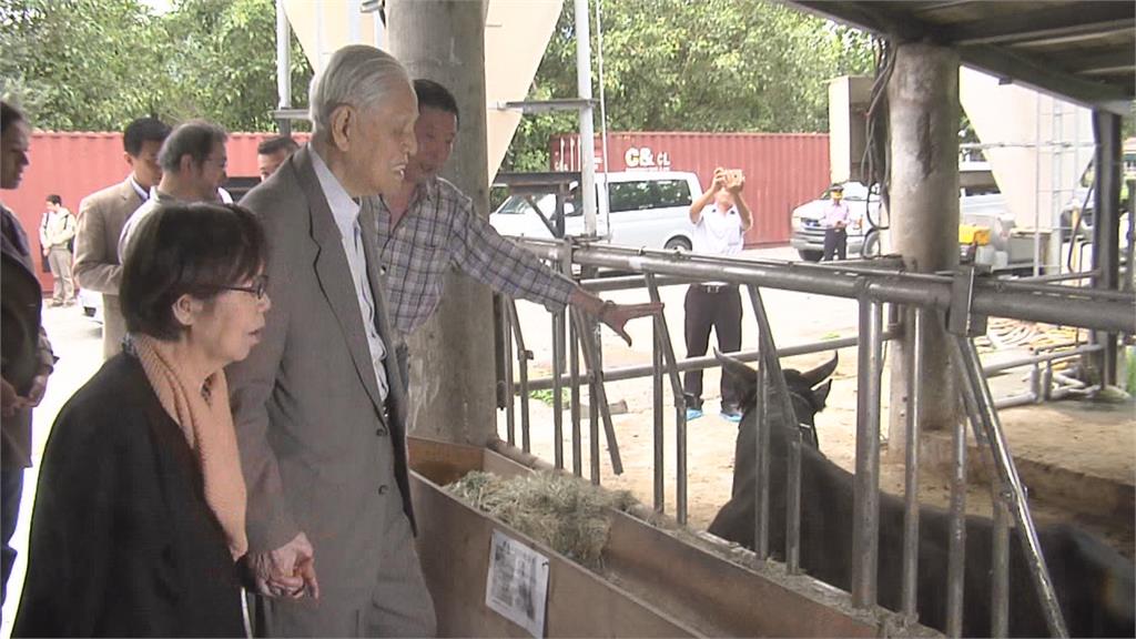 農經博士的養牛夢 李登輝培育出台灣版和牛「源興牛」