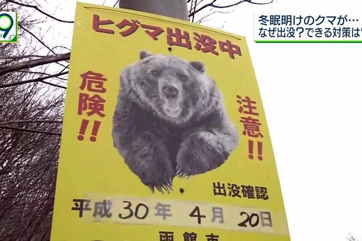 日本春暖花開 野熊結束冬眠攻擊案例增