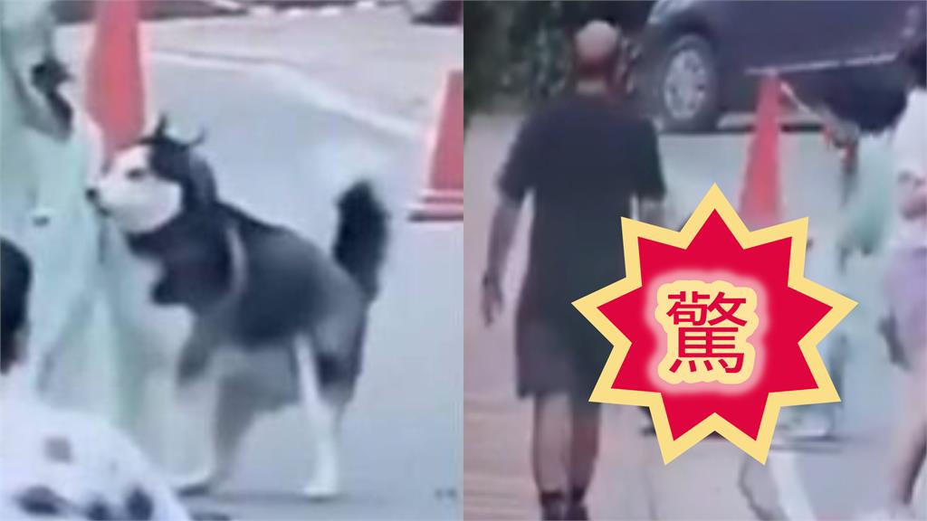 印度高級住宅區傳「狗突襲猛攻」！女子倒地遭「狂咬15秒」驚人畫面曝