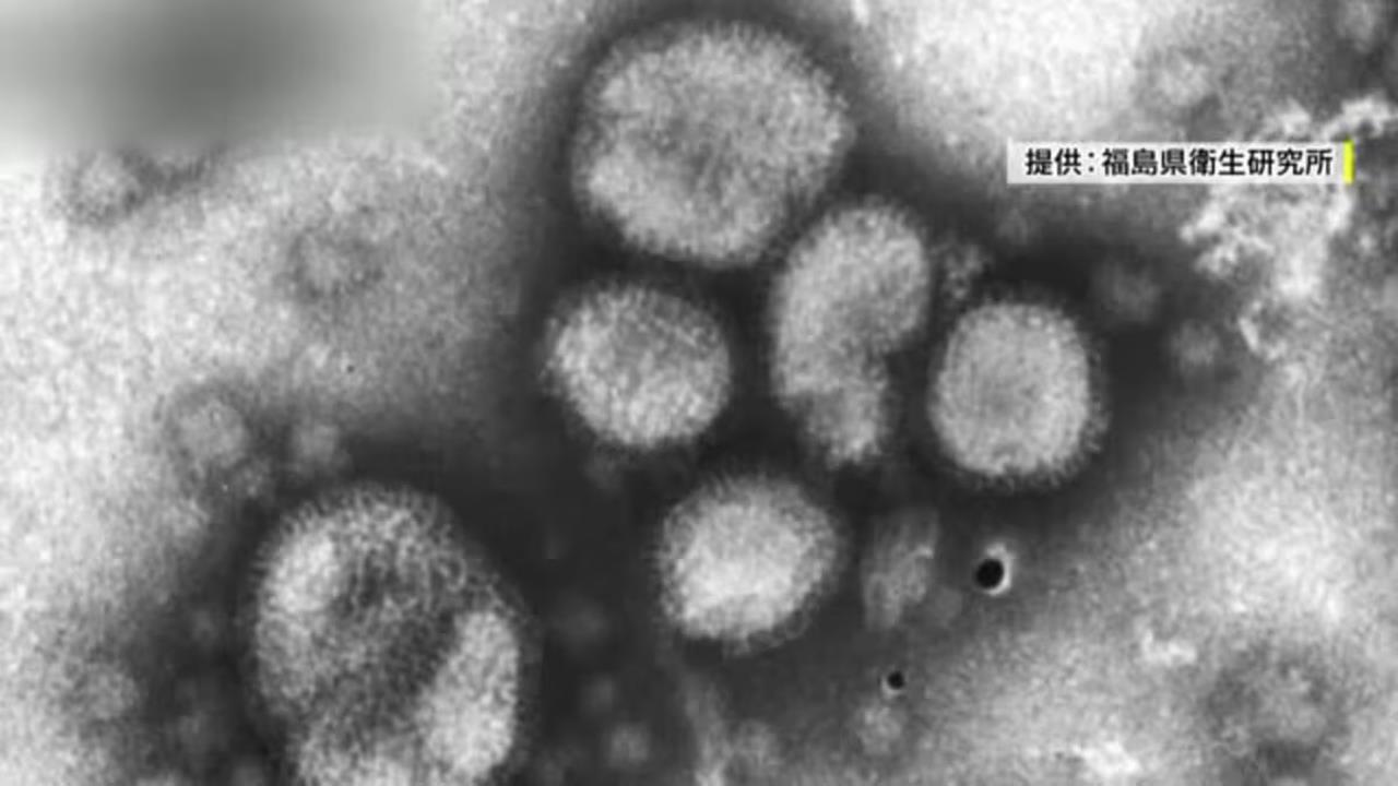 日本流感大爆發　東京等39都道府縣警報級疫情