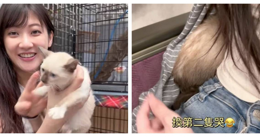 林逸欣送養幼貓搭高鐵惹議！抱出外出籠安撫挨轟　認錯：太無知了