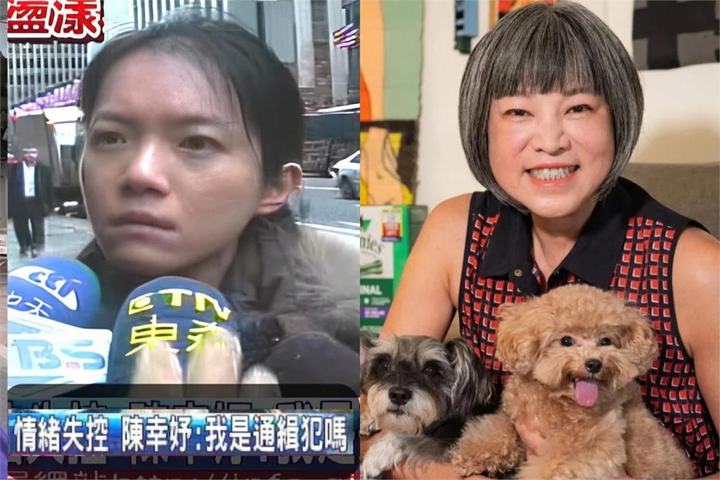 昔追訪陳幸妤挨轟　范琪斐認「非常蠢」曝兩人後來有私交