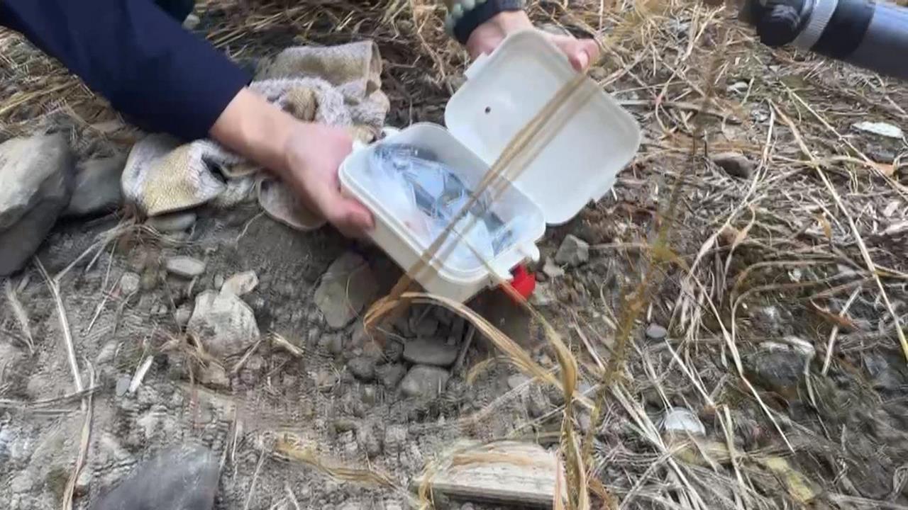 手機遺失「埋土裡」！　定位空地只聽到鈴聲民眾超困惑