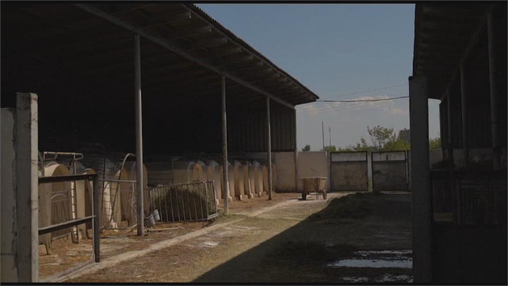 頓巴斯農用品遭戰火摧毀 　酪農恐被迫出售牛隻
