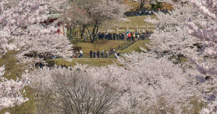 訪日旅遊買瘋！台灣人3個月總消費721億排世界第二　這國居冠