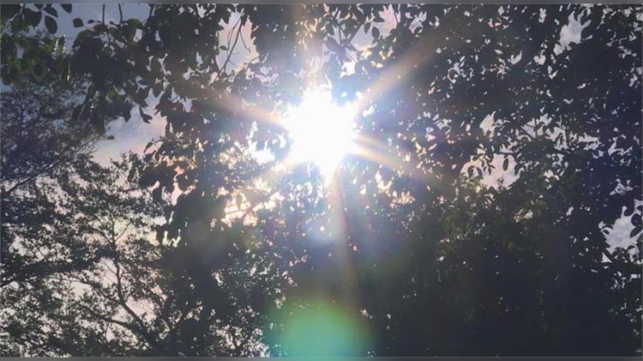 快新聞／太熱了！9縣市熱浪來襲　雙北恐達38度極端高溫