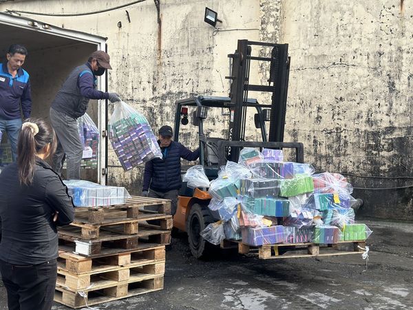 出國旅遊注意!「帶2物品」回台灣最高罰500萬