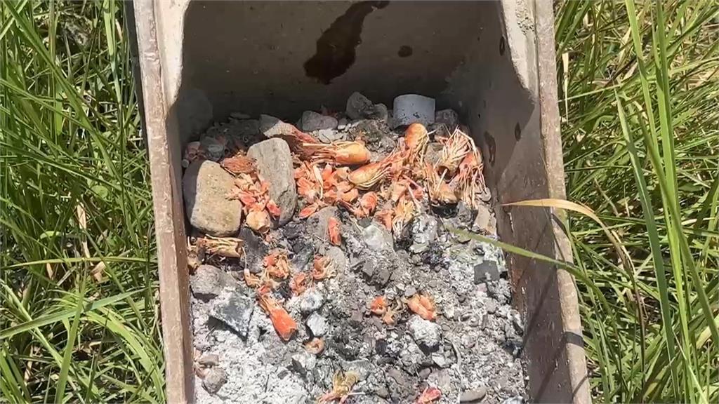 挖斗在冒煙？工地怪手化身烤蝦機器　恐引衛生疑慮