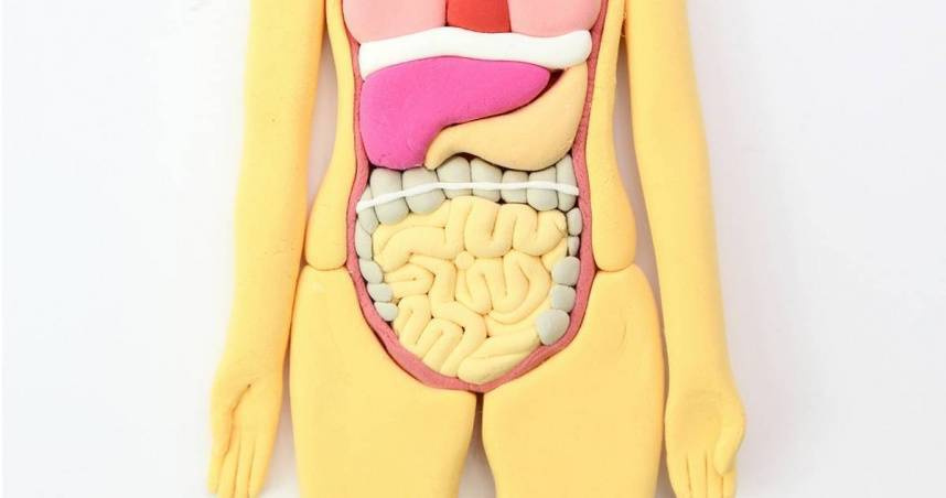 排便正常也罹癌！　50歲男首次照大腸鏡確診「大腸癌合併肝轉移」