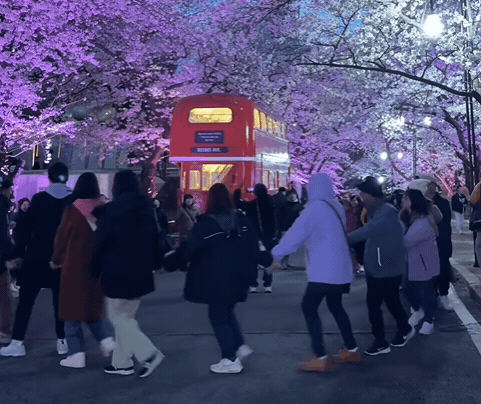 整團台客突擋路「狂喊Team Taiwan」南韓人氣炸！網揪「影片有詭」疑後製