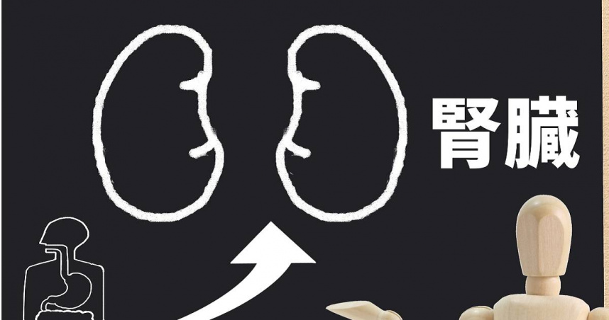 護腎超級食物假的?醫坦言:吃多對腎都有害 做到「這點」拿80分