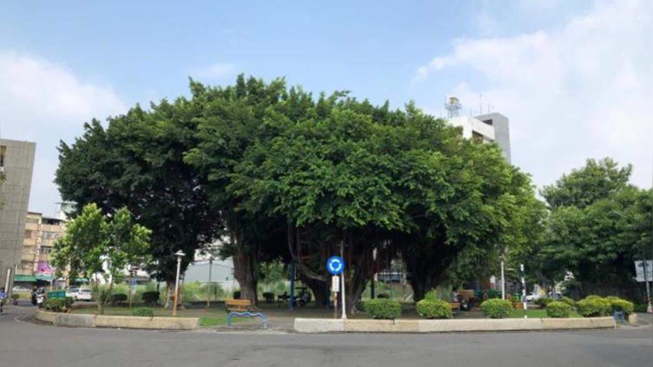 關鍵今日／聚光燈外的悲劇！重返1947年屏東「三四事件」地方菁英遭殘酷清洗