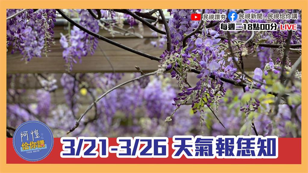 《阿愷佮你講》3/21-3/26天氣報恁知！尚合恁口味的台語直播！EP10