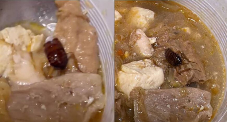 外帶「林聰明沙鍋魚頭」吃到超大蟑螂　業者無限期停業整頓