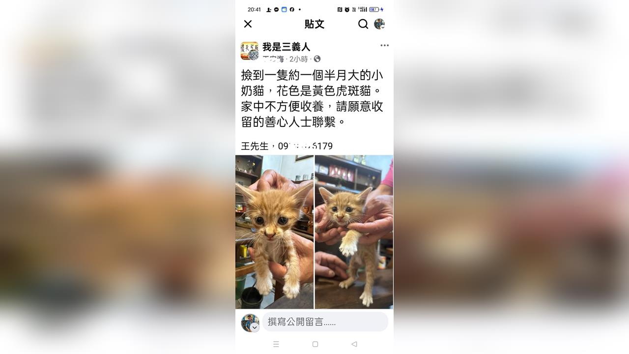 為索紙箱拾流浪貓! 婦人橫越馬路遭機車撞身亡