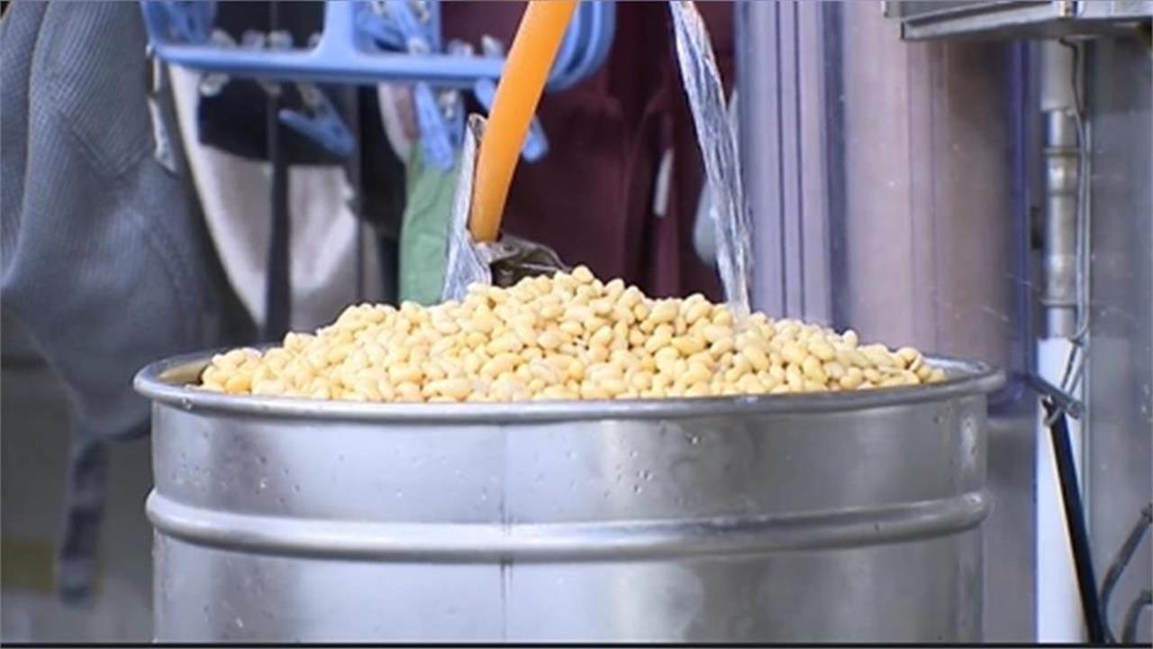 美國黃豆作物隱憂浮現、巴西擴種趨緩