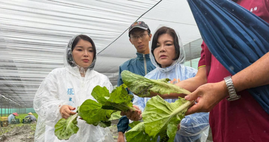 連日豪雨衝擊菜價！雲林葉菜泡水受損　莧菜、空心菜恐率先喊漲
