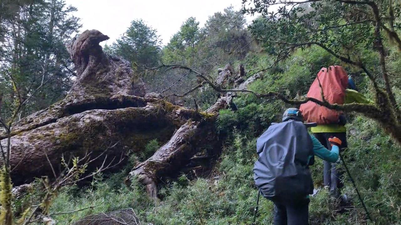 紀念已故好友! 山友登深堀山「綁布條架繩索」