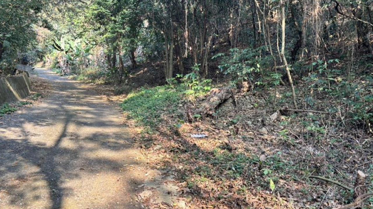 「雙眼被挖空、臉皮全削爛」橫躺百果山！男屍身分曝光…疑因「1事」遭虐死