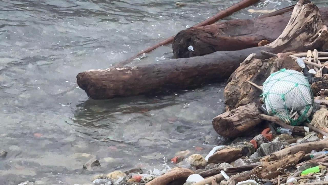 基隆港區「堆積大量漂流木」撞破船 議員:盼爭取天然災害補助