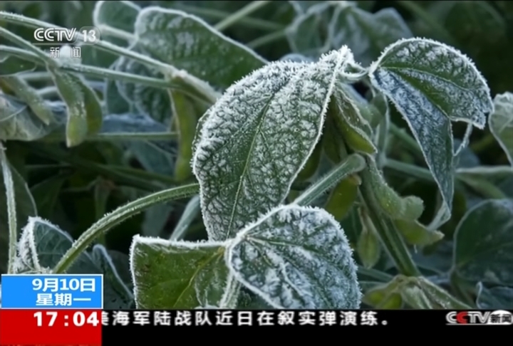白露才剛過...中國黑龍江現零下6度低溫