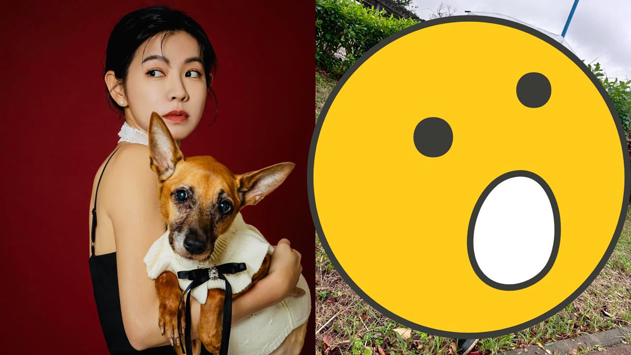 《好運來》米可白才開戰鍾東錦!「倒路邊身影突流出」網急關切內情曝光