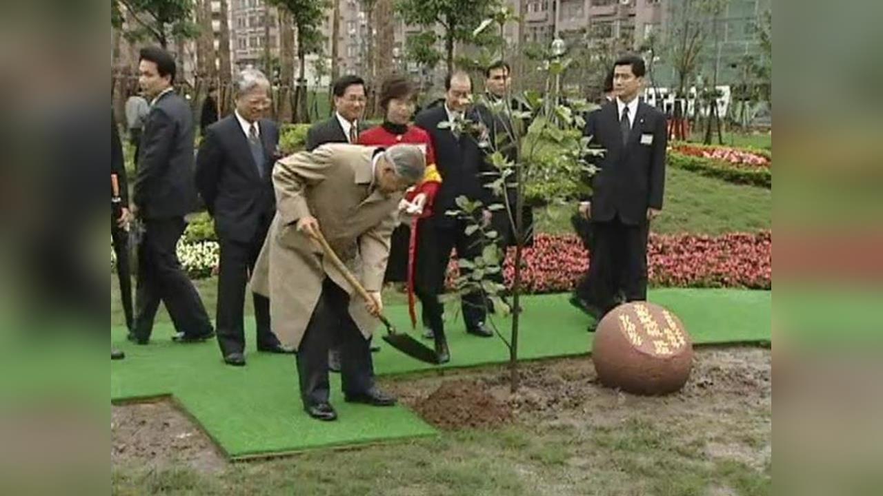 快新聞／李登輝手植榕樹消失！北市府證實4月移除　李安妮回應了