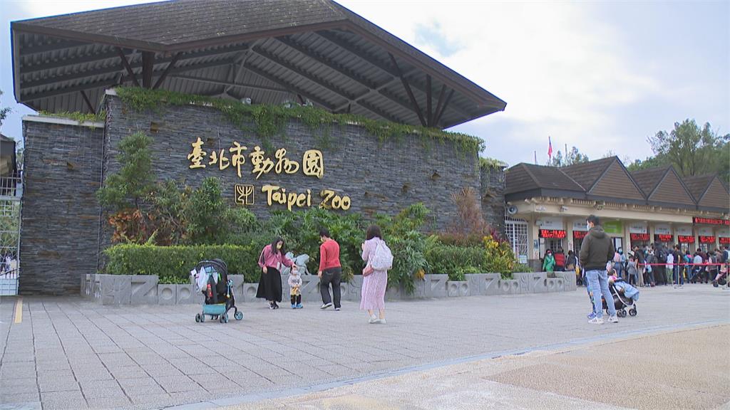 動物園票價翻倍漲合理嗎?她曝帶孩「4年去40次」讚:120元還是超便宜