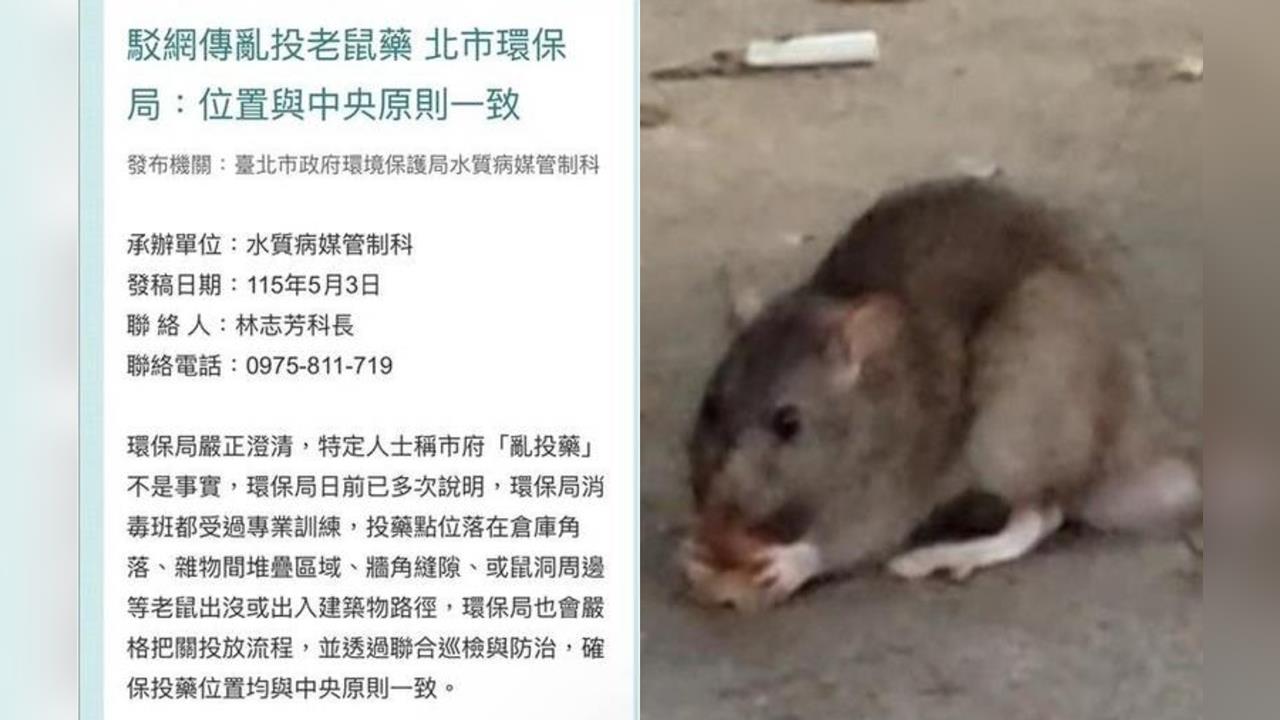 北市「鼠患」入侵商圈、校園！環保局駁斥亂投藥傳聞⋯網見「1關鍵字」氣炸