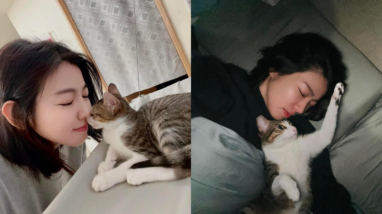 猴硐4貓「臉遭噴辣椒水」全網怒揪凶手！米可白火大開轟：能不能不要傷害