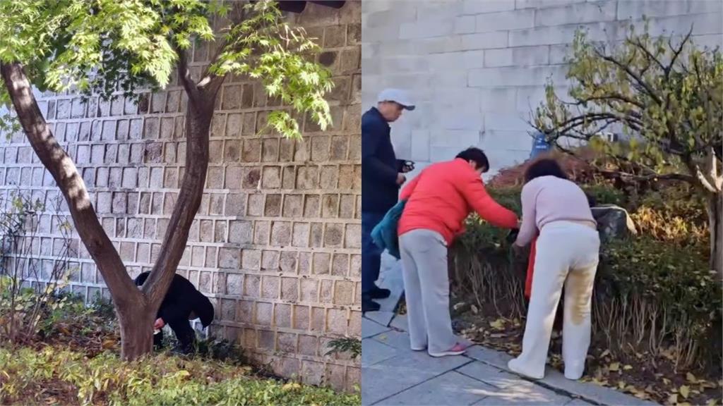 景福宮當街脫褲大便!疑陸客荒誕行為曝光 韓網怒轟太離譜