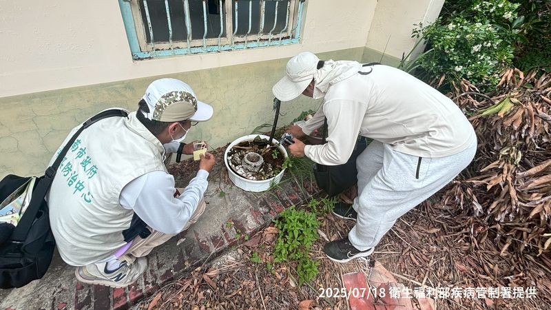 颱風後登革熱進入高風險期!疾管署:雨後一週是防治關鍵
