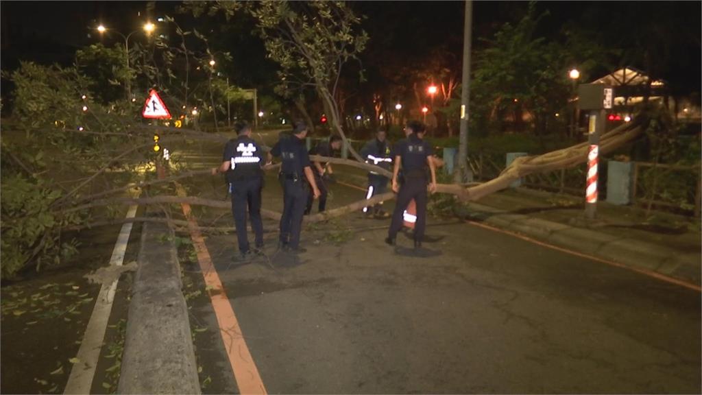 「卡努」挾強風豪雨！ 雙北多處傳出路樹倒塌