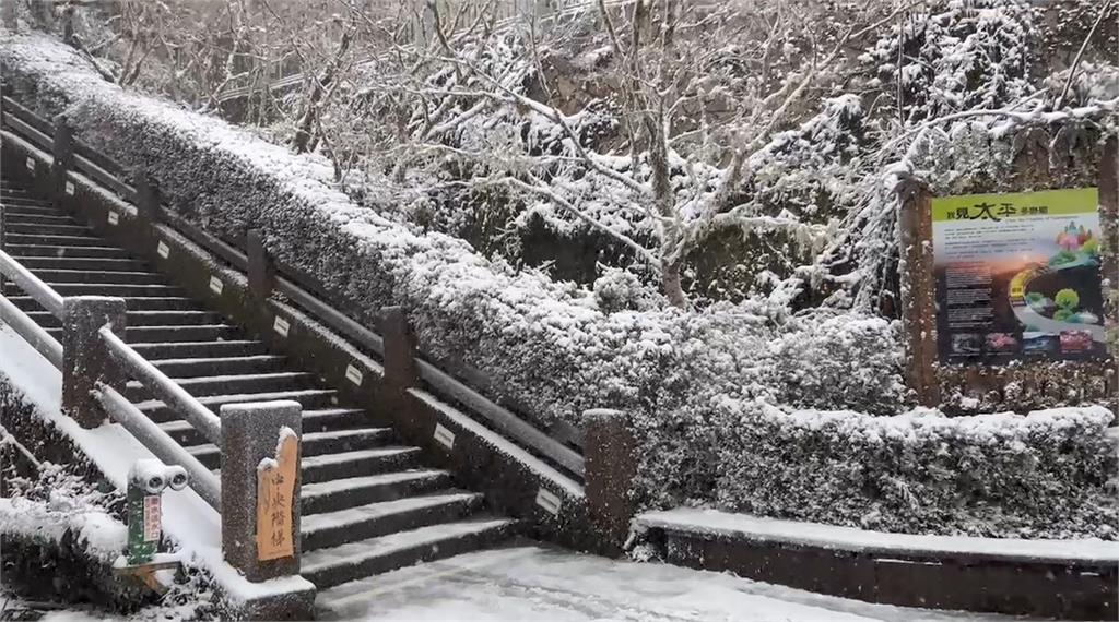 寒流發威！中海拔「明池、拉拉山」也降瑞雪　遊客驚喜