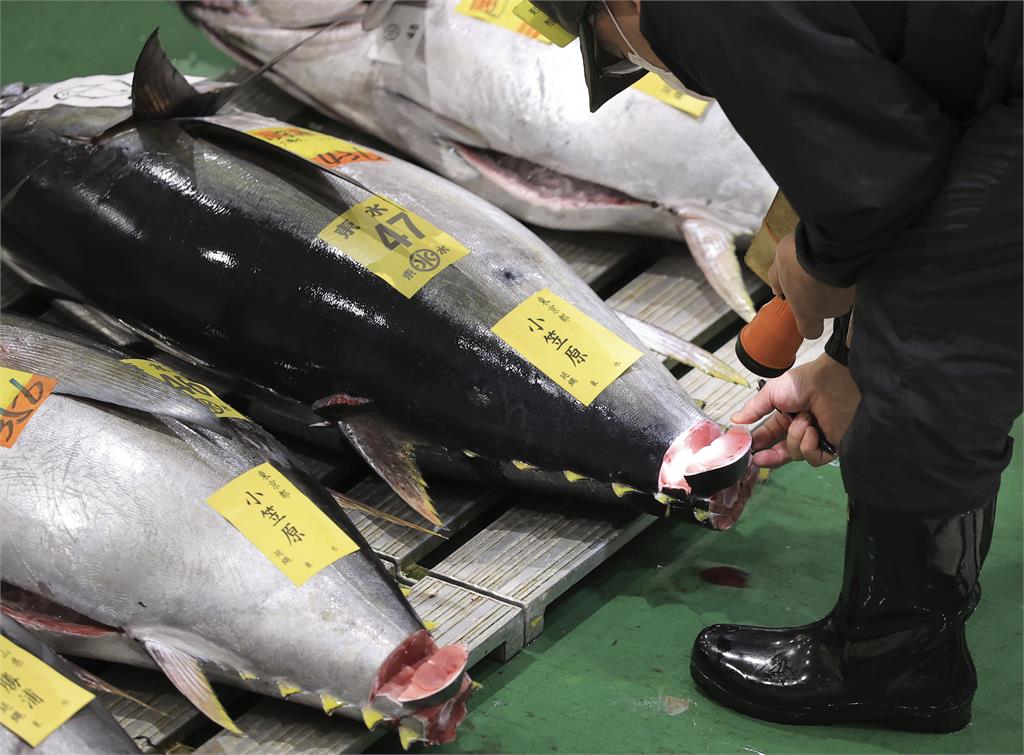 日本超市推「AI挑鮪魚」鑑定品質　完全不輸專業職人！