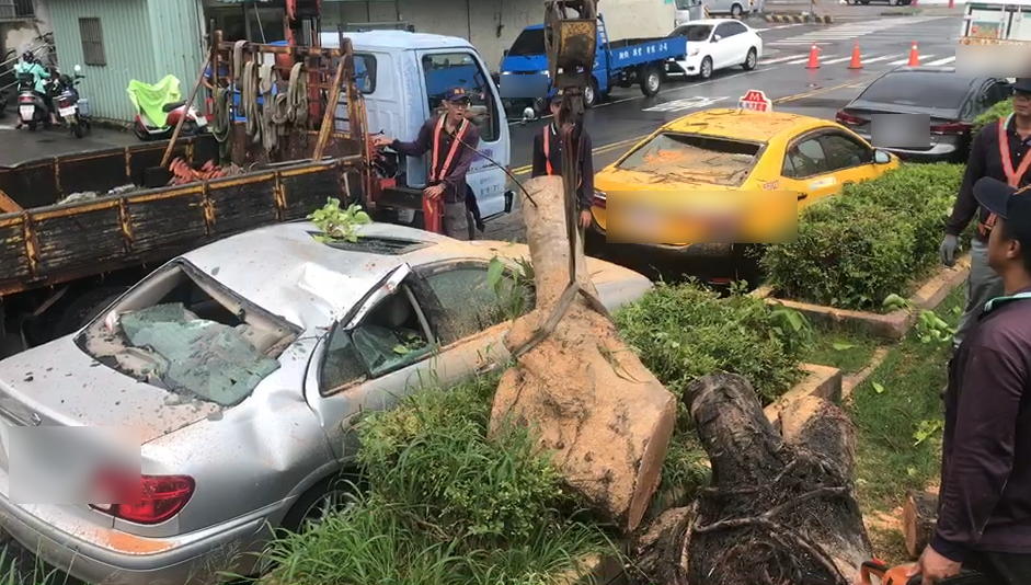 快新聞／台南大雨路樹突倒塌 兩車遭殃一台車頂全毀