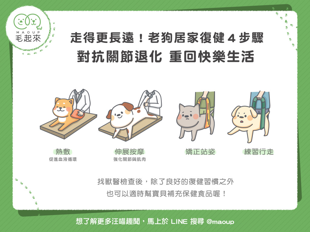 【毛孩保健術】走得更長遠！老狗居家復健4步驟！