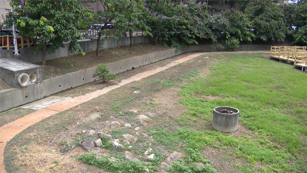 這樣要怎麼排水？　大雨就淹水　滯洪池如虛設