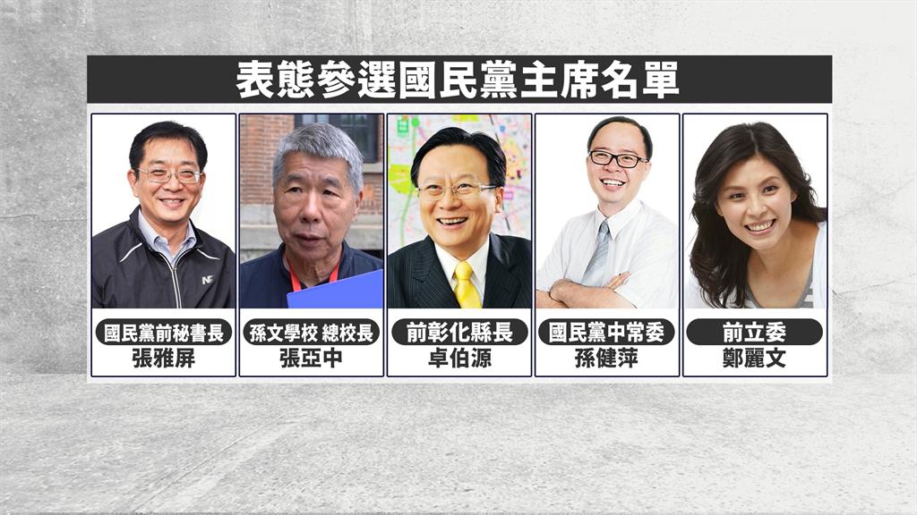 盧秀燕不接棒! 羅智強宣布參選國民黨主席