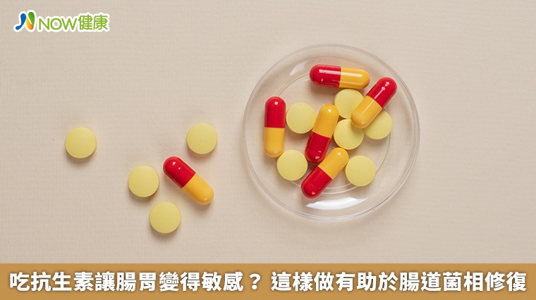 吃抗生素讓腸胃變得敏感？ 這樣做有助於腸道菌相修復