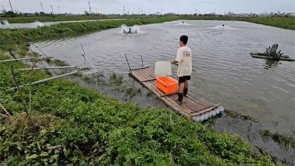 丹娜絲颱風重創嘉南毀魚塭! 台南北門養殖業者損失慘