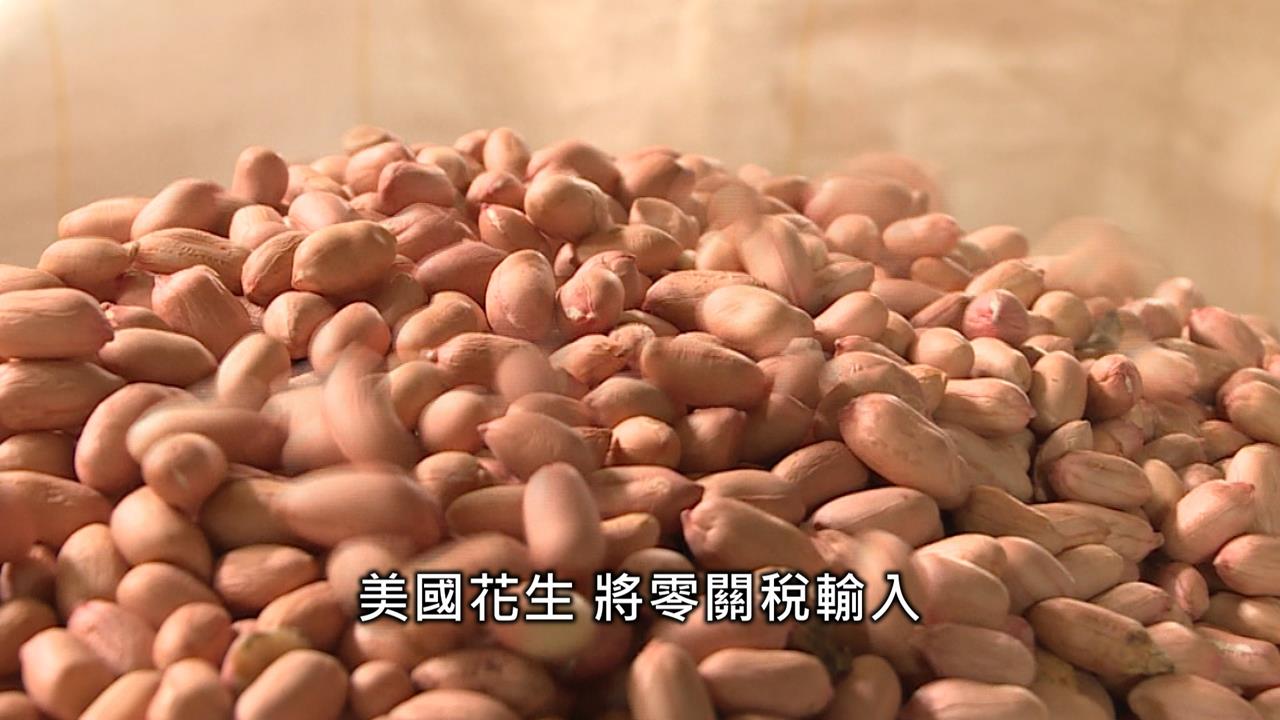 美花生零關稅！　張麗善喊「滅農」　陳駿季：別唱衰台灣　共同提升農民所得
