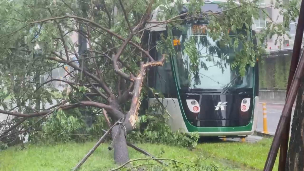豪雨襲高雄！災情頻傳　輕軌列車慘遭路樹壓到
