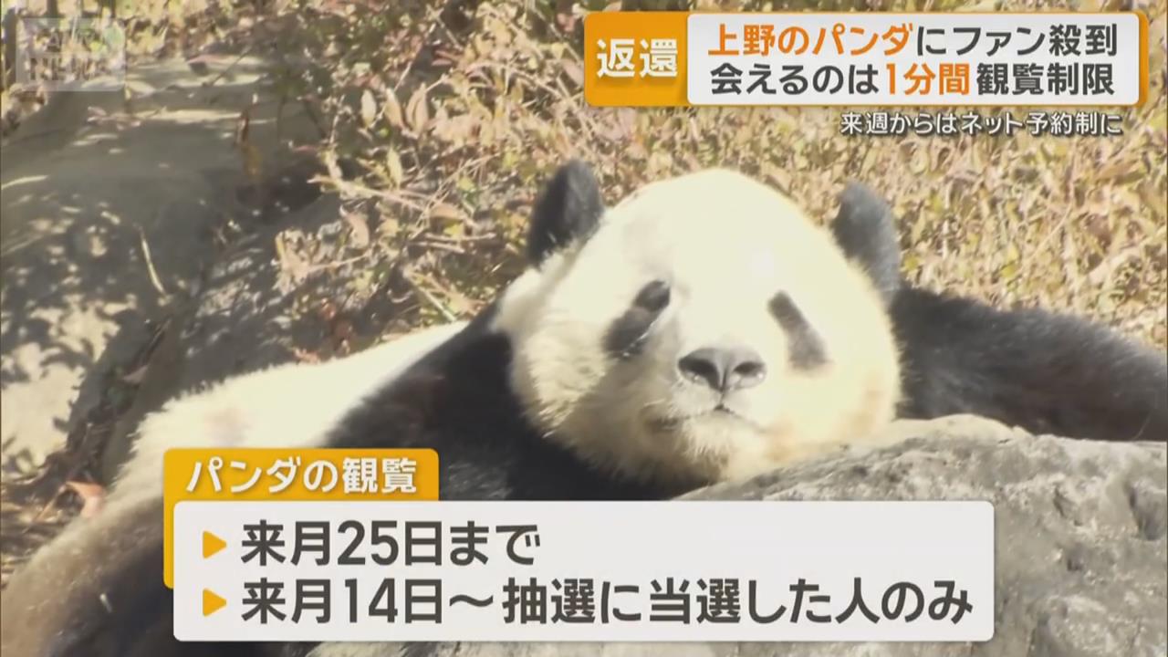 日本上野貓熊將清零！　遊客「排隊4小時只能看1分鐘」