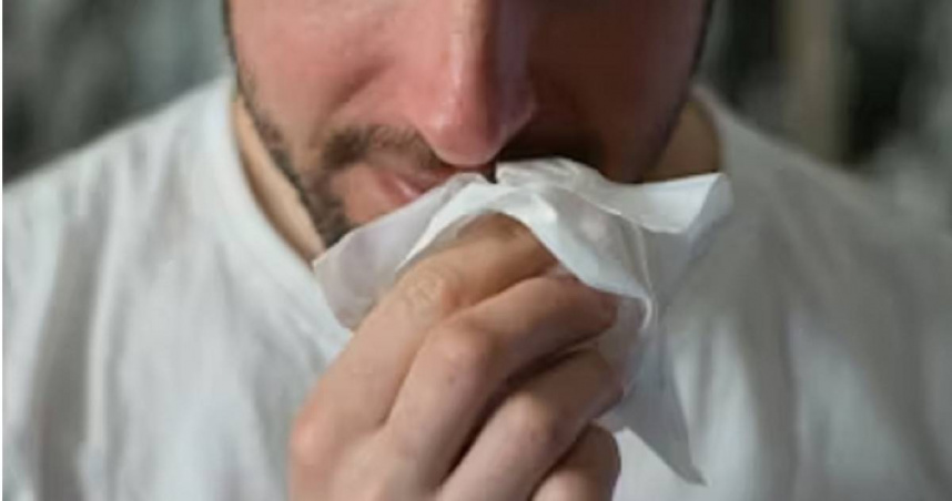 連3個月聞到屍臭味！他鼻內「挖出黑松露」竟是得這病