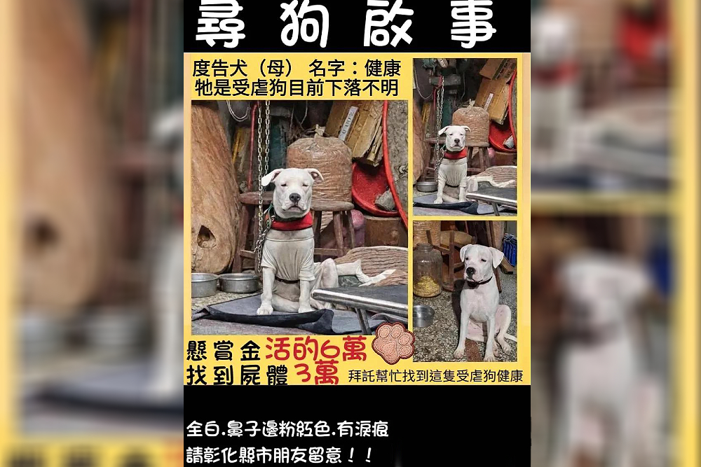 米可白關心「健康」下落　彰化虐狗案飼主先開罰3萬元