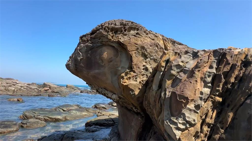 外木山發現「海龜岩石」　網友PO上網　兩天累積萬人按讚