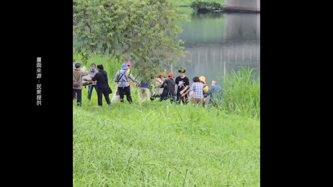 宜蘭冬山河現「放生人龍」　外來種牛蛙丟進河恐釀浩劫