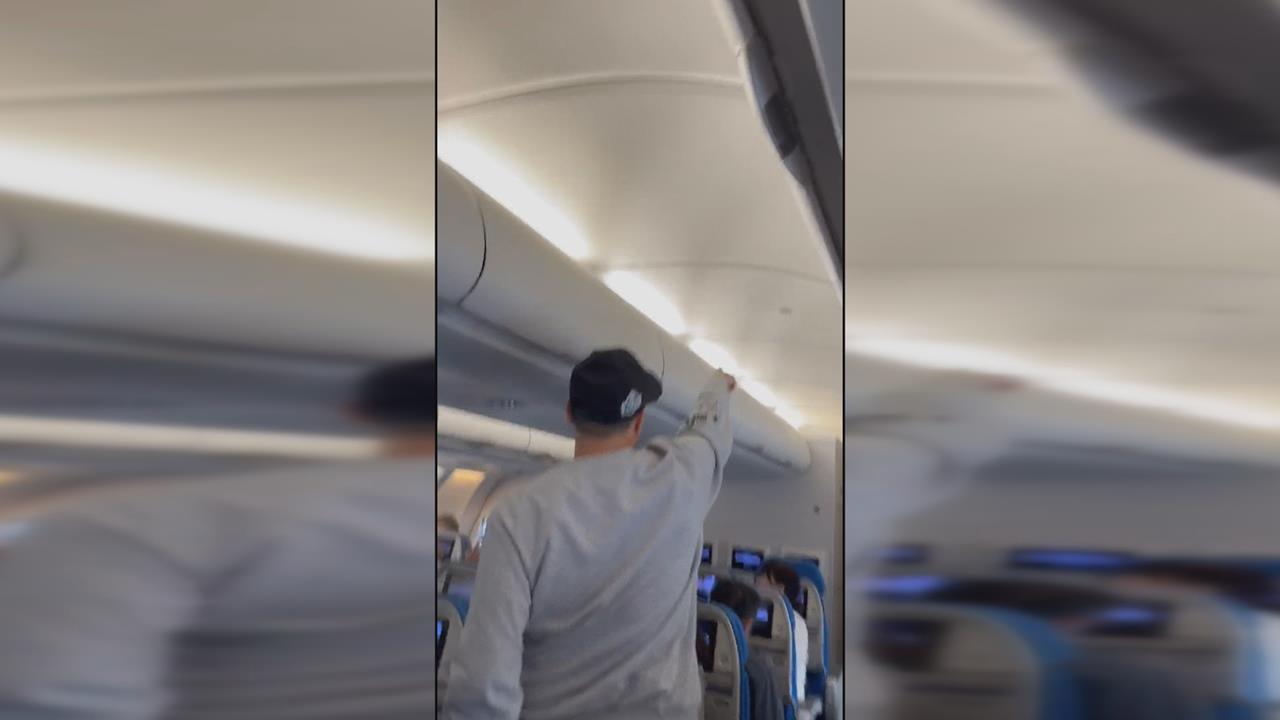 國泰班機"鳥隻闖機艙"引騷動 乘客展開抓鳥行動延誤50分鐘